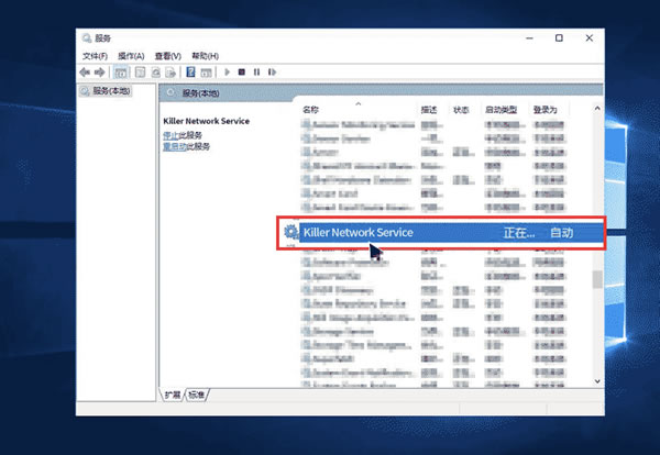 快连电脑版部分Network Service需要进行哪些设置